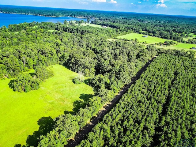 LOT7 Watts Rd, Jefferson, TX 75657 - photo 1
