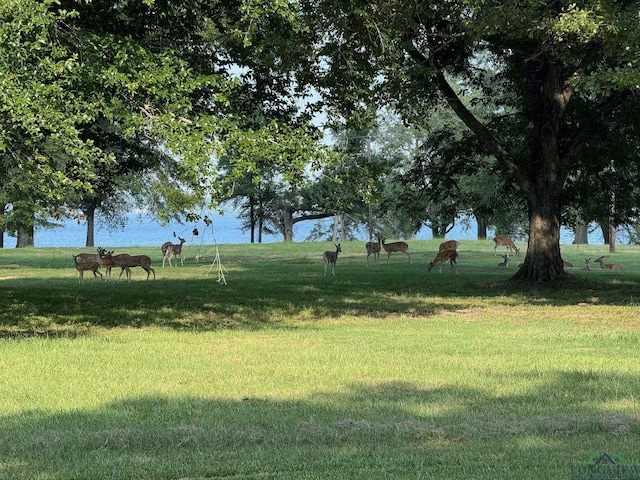 LOT7 Watts Rd, Jefferson, TX 75657 - photo 6