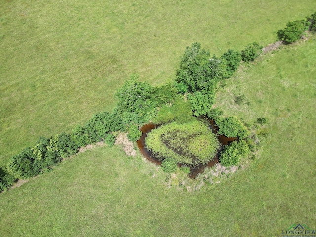 TBD Fm 451, Waskom, TX 75462 - photo 9