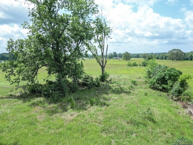 TBD Fm 451, Waskom, TX 75462 - photo 4