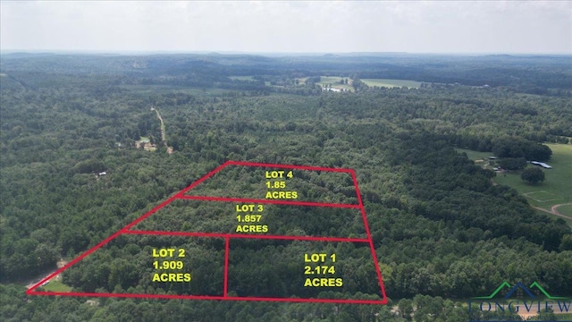 TBD Fm 2796, Gilmer TX, 75644 land for sale