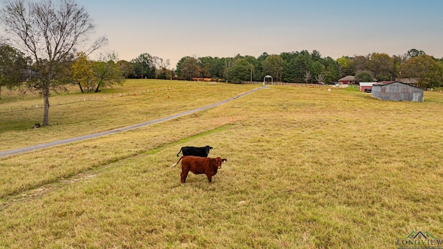 surrounding community featuring a lawn and a rural view