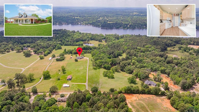 drone / aerial view with a water view and a view of trees