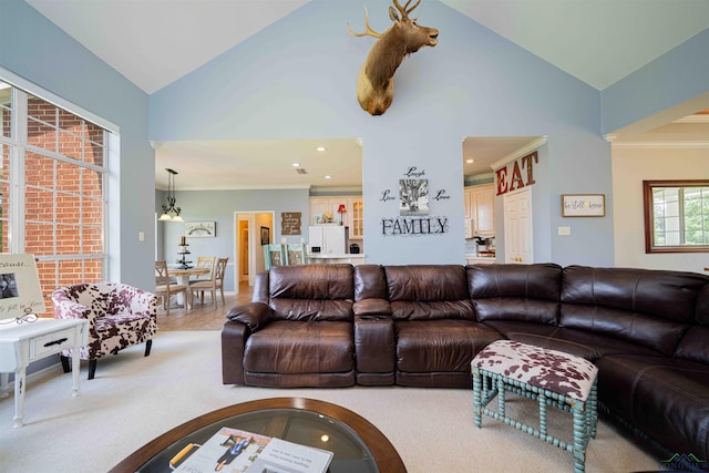 living room featuring carpet floors and high vaulted ceiling