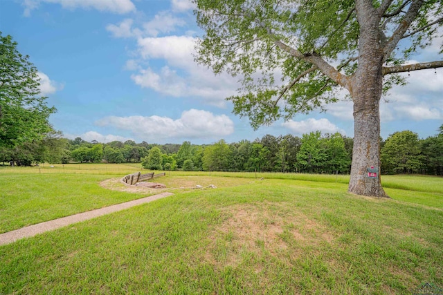 view of yard featuring a view of trees and a rural view