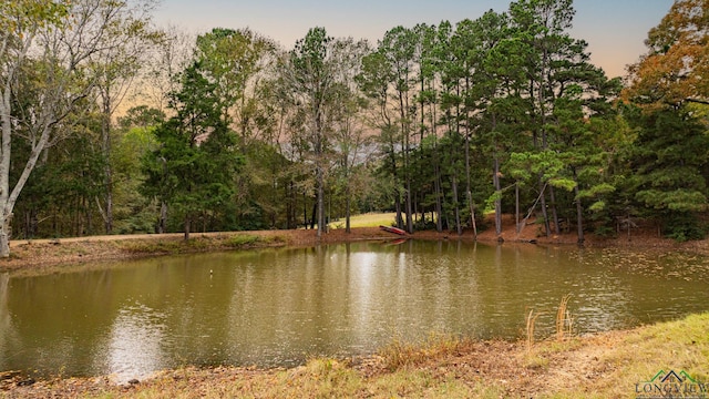 view of water feature