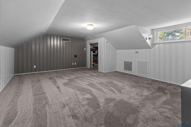 additional living space with carpet, a textured ceiling, and lofted ceiling