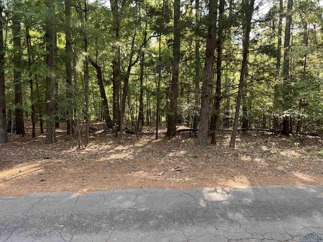 Listing photo 2 for TBD White Perch, Avinger TX 75630