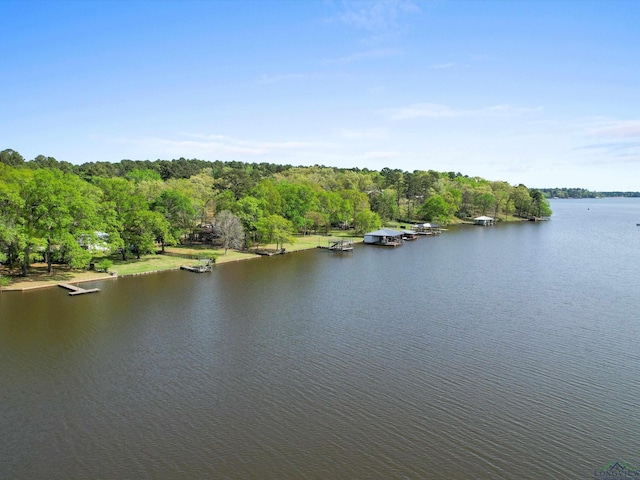 3065 E Lake, Gladewater, TX 75647 - water view