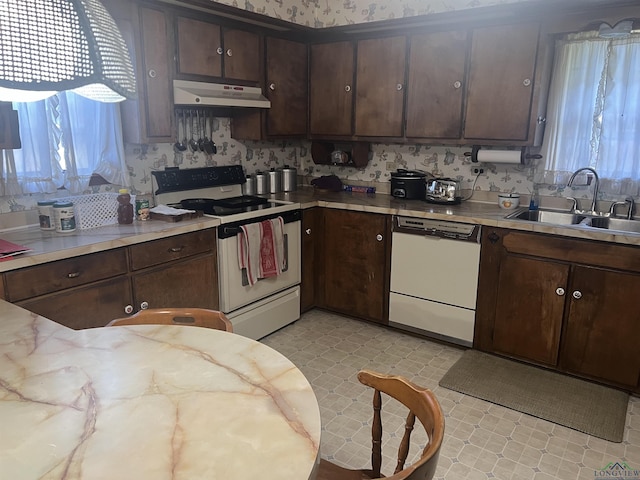 kitchen with plenty of natural light, dark brown cabinets, white appliances, and sink