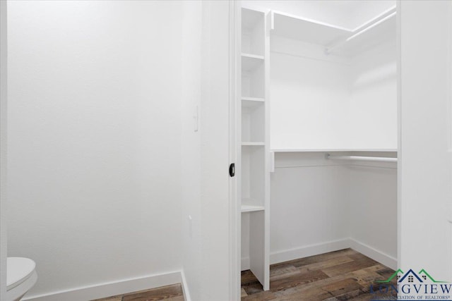 walk in closet featuring dark wood-type flooring