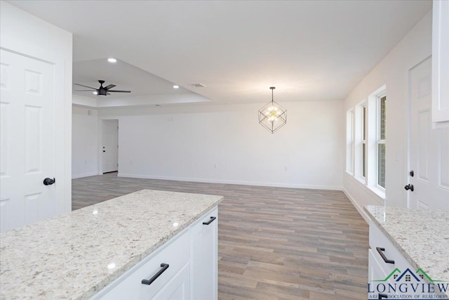 kitchen with hardwood / wood-style floors, light stone counters, a tray ceiling, decorative light fixtures, and white cabinets