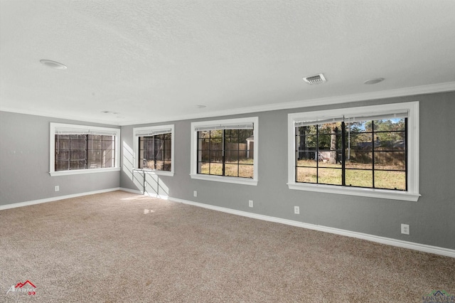 carpeted empty room featuring plenty of natural light, a textured ceiling, and ornamental molding