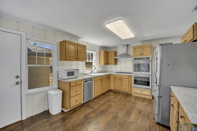 kitchen featuring sink, appliances with stainless steel finishes, dark hardwood / wood-style floors, light brown cabinetry, and wall chimney exhaust hood