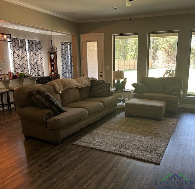 living room with dark hardwood / wood-style flooring and ornamental molding