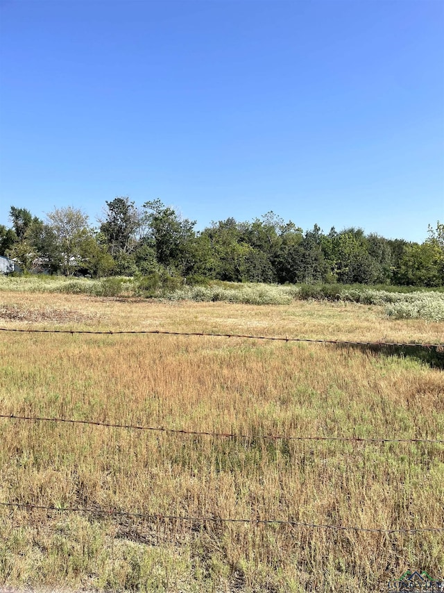 view of local wilderness with a rural view