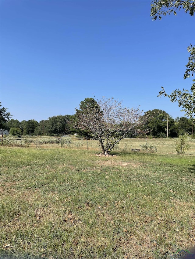 view of yard featuring a rural view