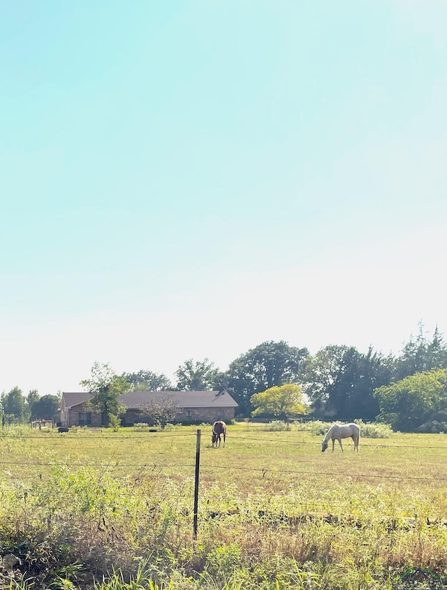 view of yard with a rural view