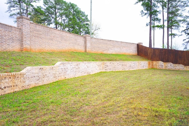 9173 Cave Branch Cv, Tyler, TX 75703 - view of yard featuring a fenced backyard