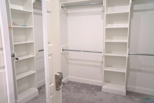 9173 Cave Branch Cv, Tyler, TX 75703 - walk in closet with carpet floors