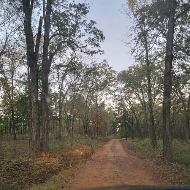 3181 Fm 16 E, Tyler, TX 75706 - photo 2