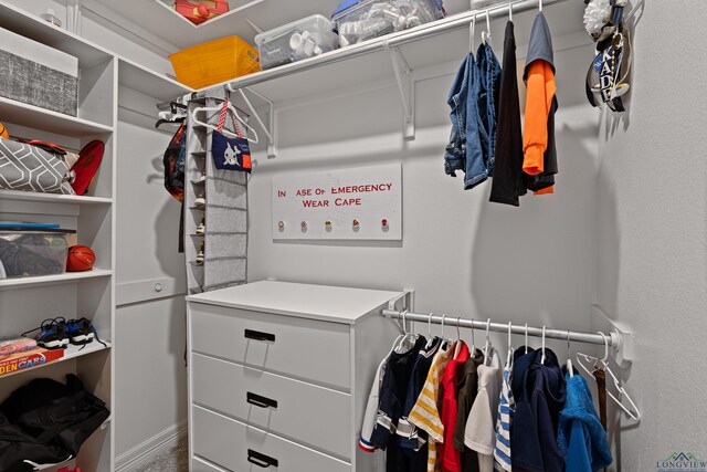 view of spacious closet