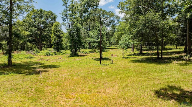 TBD Cr 2183, Tatum, TX 75691 - photo 6