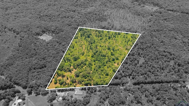 TBD Cr 2183, Tatum, TX 75691 - photo 1