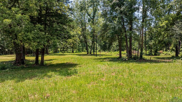 TBD Cr 2183, Tatum, TX 75691 - photo 4