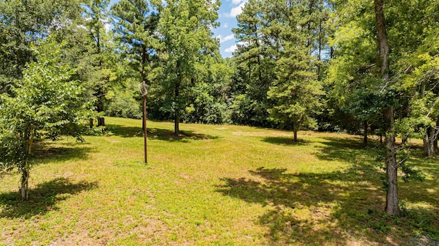 TBD Cr 2183, Tatum, TX 75691 - photo 5