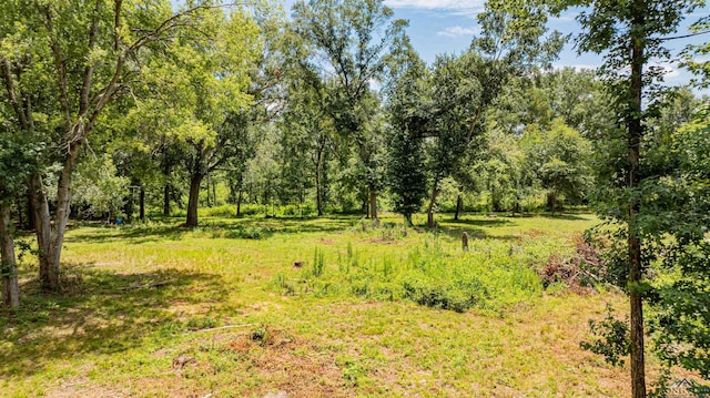 TBD Cr 2183, Tatum, TX 75691 - photo 3