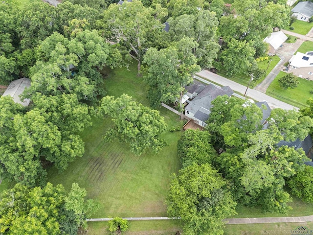 306 S Line St, Jefferson, TX 75657 - photo 9