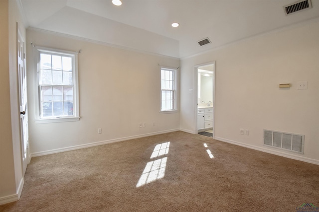 unfurnished room featuring a wealth of natural light, a raised ceiling, and light carpet