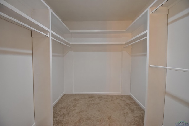 spacious closet featuring light carpet