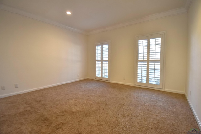 carpeted spare room with crown molding