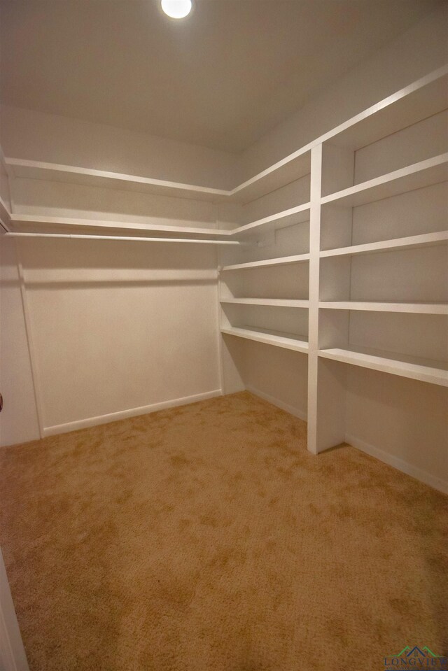 walk in closet featuring carpet floors