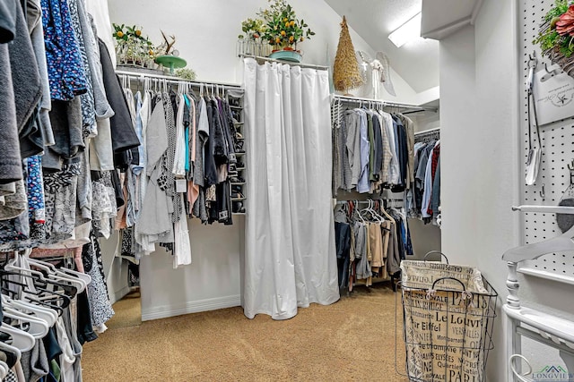 spacious closet with carpet floors