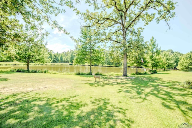 7686 Gopher Rd, Gilmer, TX 75644 - photo 5
