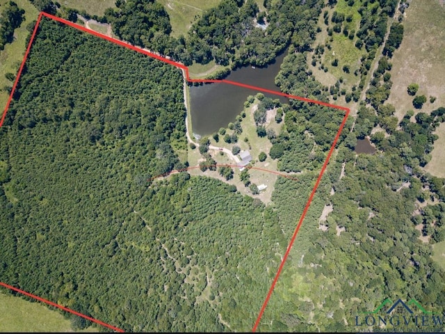 7686 Gopher Rd, Gilmer, TX 75644 - photo 48