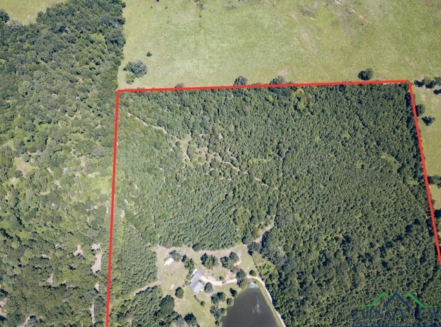 7686 Gopher Rd, Gilmer, TX 75644 - photo 49