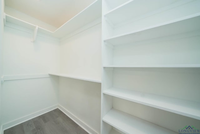 walk in closet featuring dark hardwood / wood-style floors