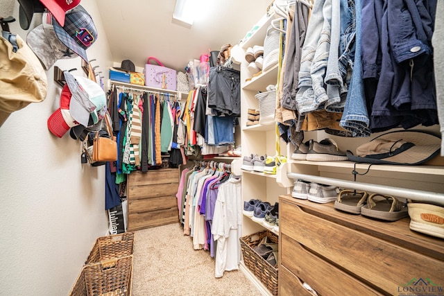 walk in closet with carpet floors