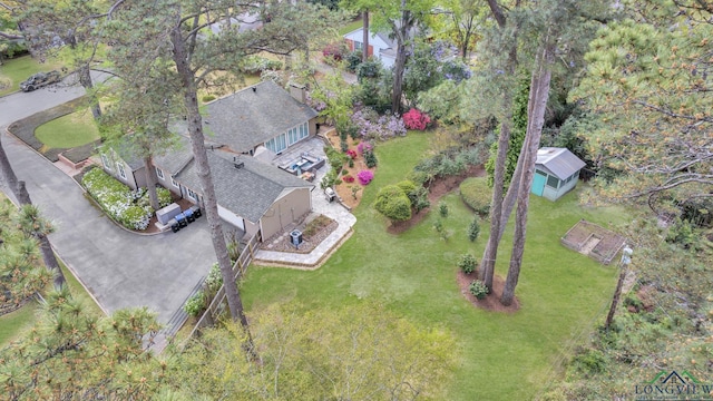 bird's eye view