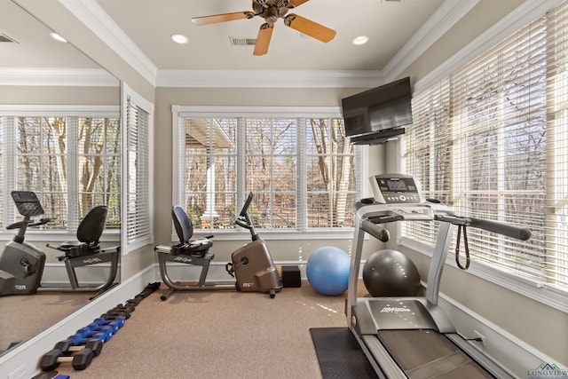 exercise room featuring plenty of natural light, ornamental molding, ceiling fan, and carpet flooring