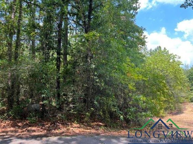 TBD Cliffside Path, Lot Holly Lake Ranch, TX 75765