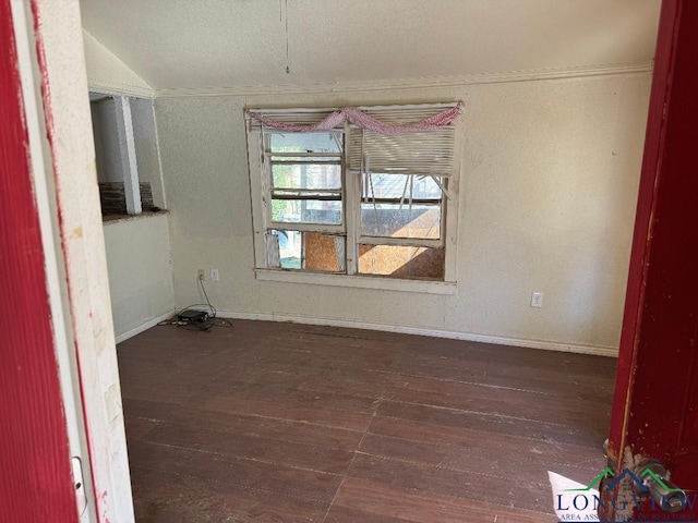 unfurnished room featuring vaulted ceiling and dark wood-type flooring