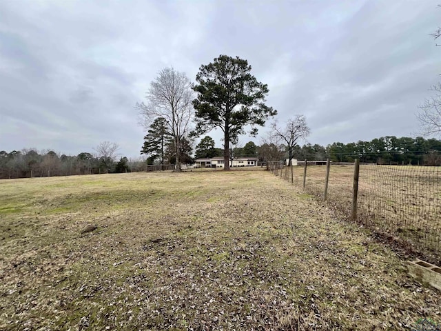 view of yard with a rural view