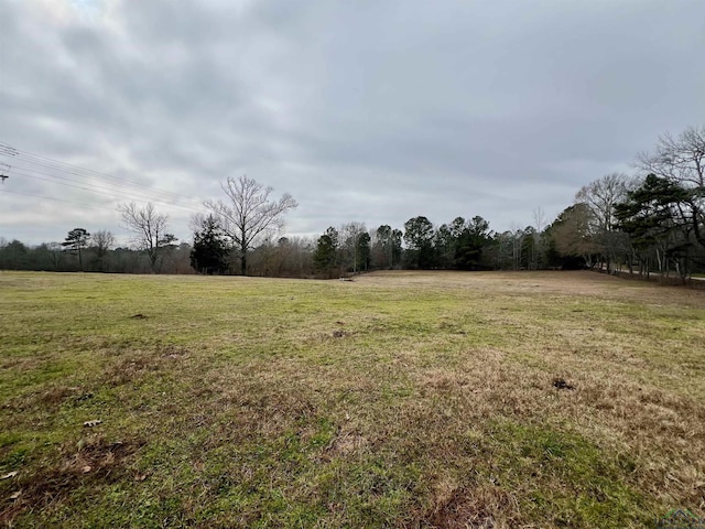 view of yard featuring a rural view