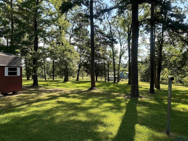 13536 County Road 1117 N, Kilgore, TX 75662 - photo 21