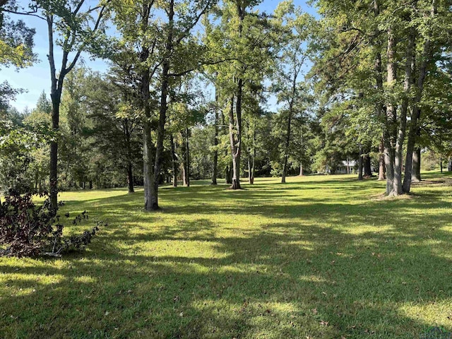 13536 County Road 1117 N, Kilgore, TX 75662 - photo 19